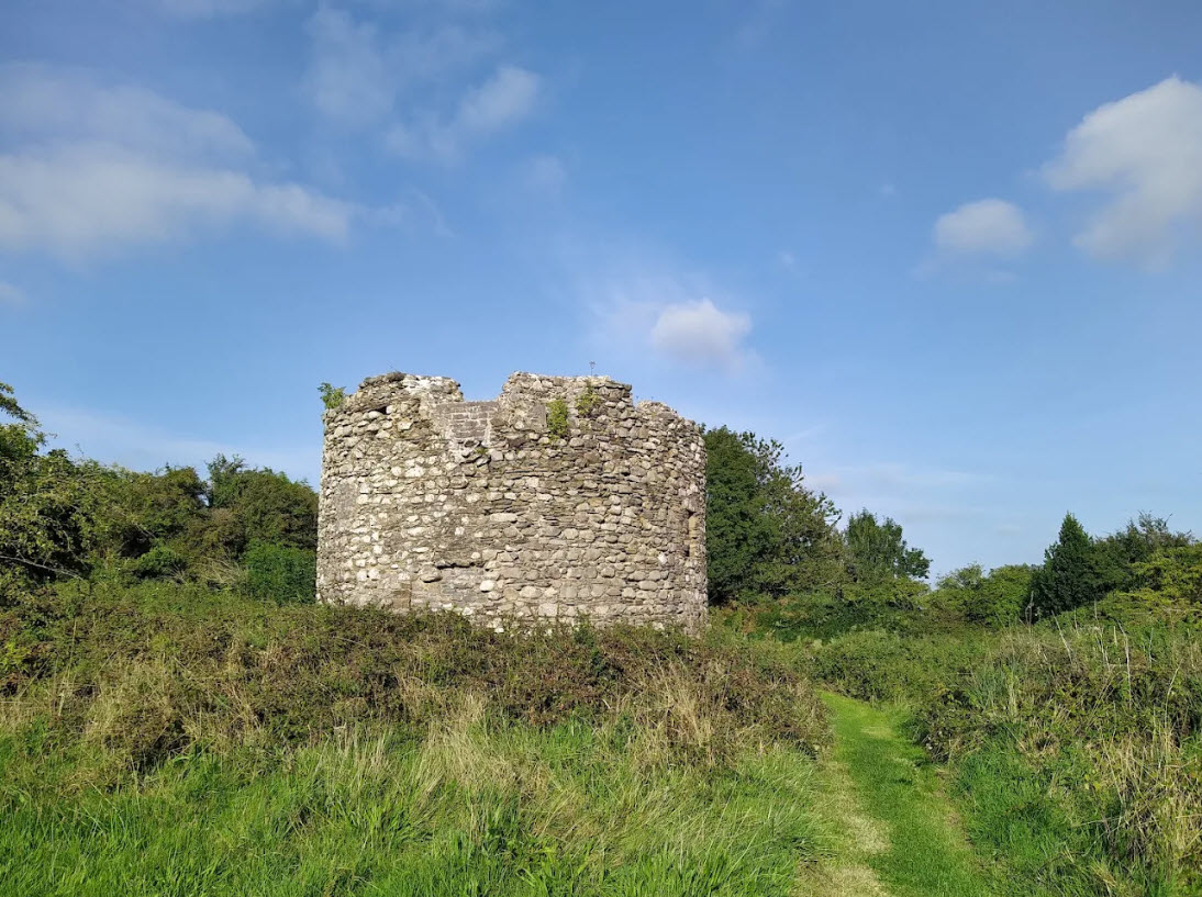 Parkavonear Castle, Ireland